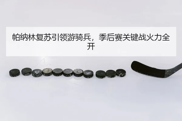 pa-na-lin-fu-su-yin-ling-you-qi-bing-ji-hou-sai-guan-jian-zhan-huo-li-quan-kai-3-619.jpg