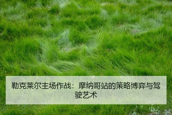 lei-ke-lai-er-zhu-chang-zuo-zhan-mo-na-ge-zhan-de-ce-lve-bo-yi-yu-jia-shi-yi-shu-2-113.jpg