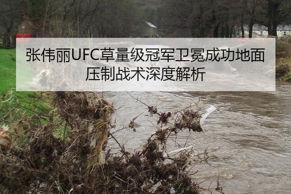 张伟丽UFC草量级冠军卫冕成功地面压制战术深度解析