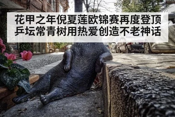 花甲之年倪夏莲欧锦赛再度登顶 乒坛常青树用热爱创造不老神话